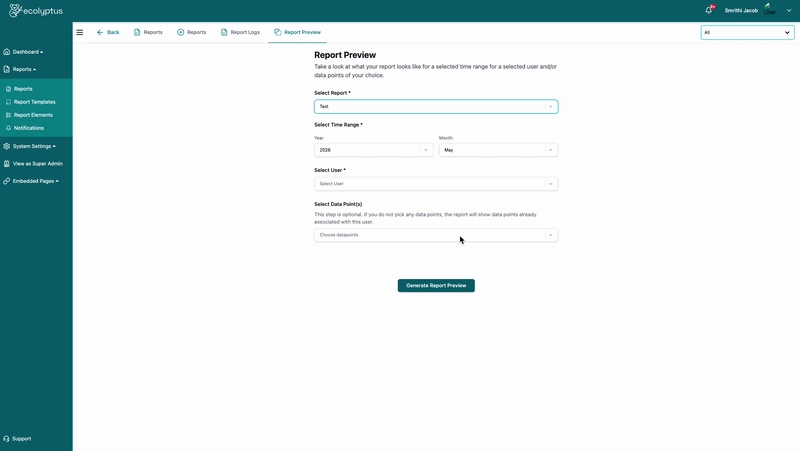 Report preview flow